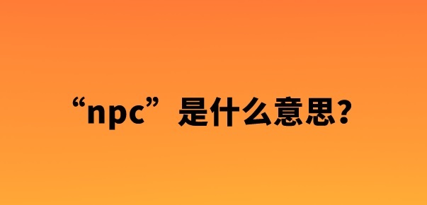 NPC是什么意思(NPC定义)