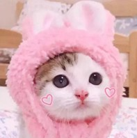 女人最适合的微信头像