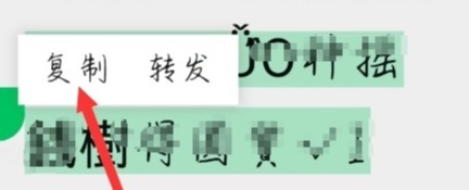 拼多多复制口令怎么帮好友助力
