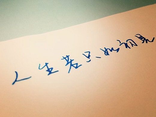 人生若只如初见什么意思