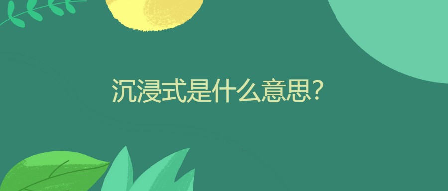 沉浸式是什么意思？