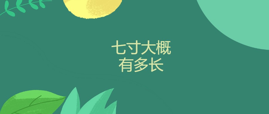 七寸大概有多长