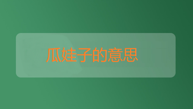 瓜娃子的意思是啥