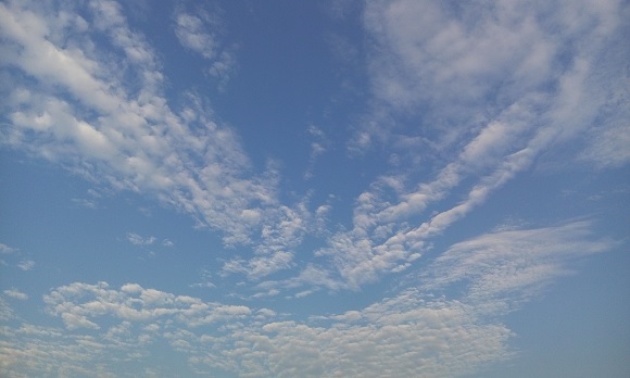 海阔天空是什么生肖