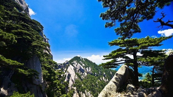 黄山四绝有哪四绝？