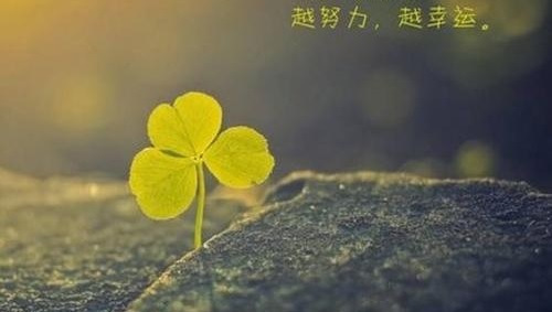 高情商早安暖心话
