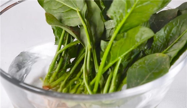 菠菜配什么菜炒好吃