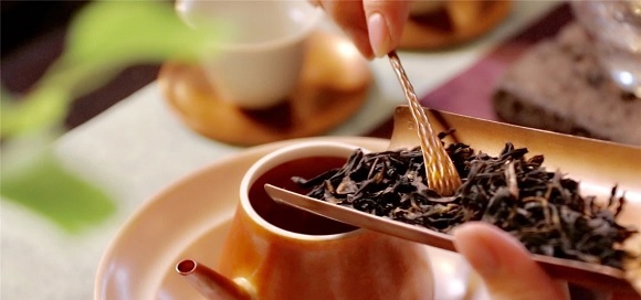 鸭屎香属于什么茶类？